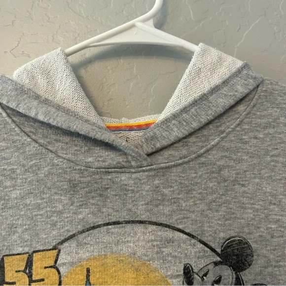 ⭐️Disney Parks Disneyland resort vintage look crop hooded sweatshirt size medium - Picture 16 of 16